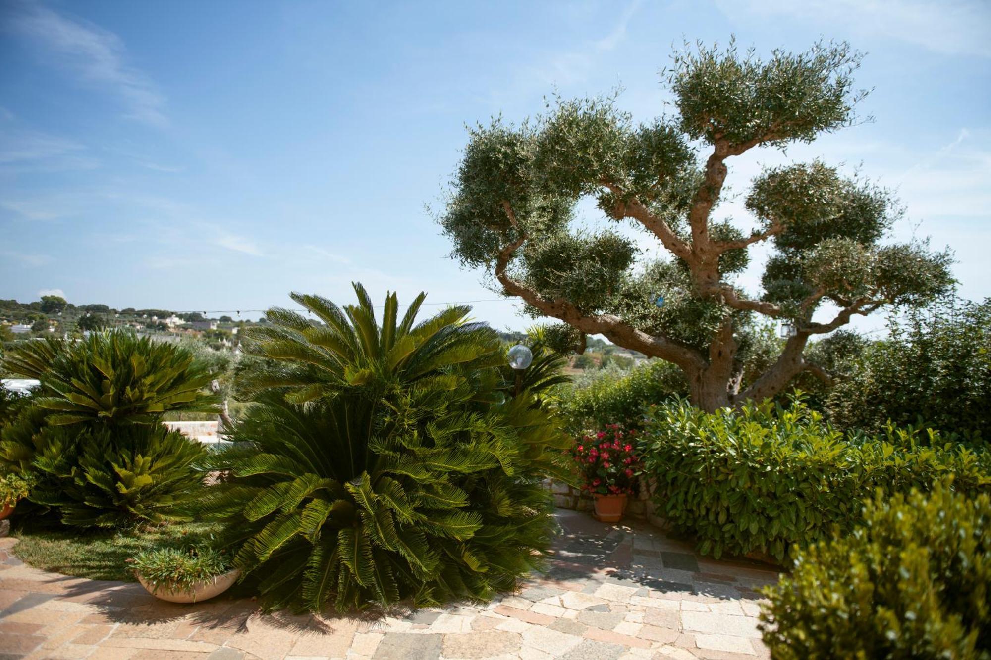 Holiday home Cosimo